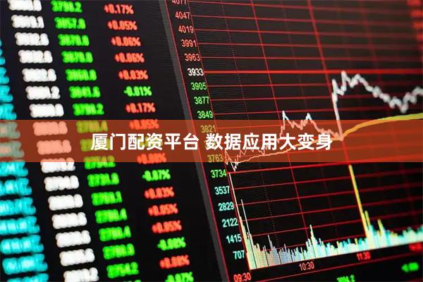 厦门配资平台 数据应用大变身